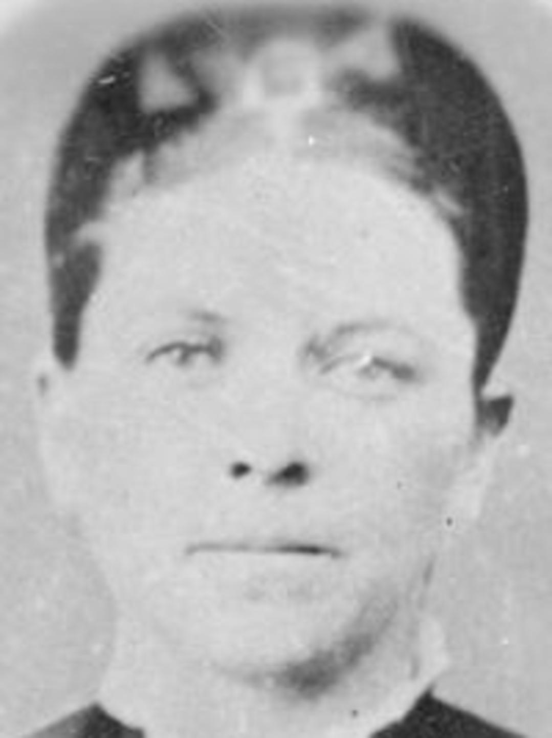 Rachel Pass (1854 - 1889) Profile